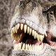 Image for article titled Jurassic Park Lied to You: T-Rex Had Great Eyesight Really